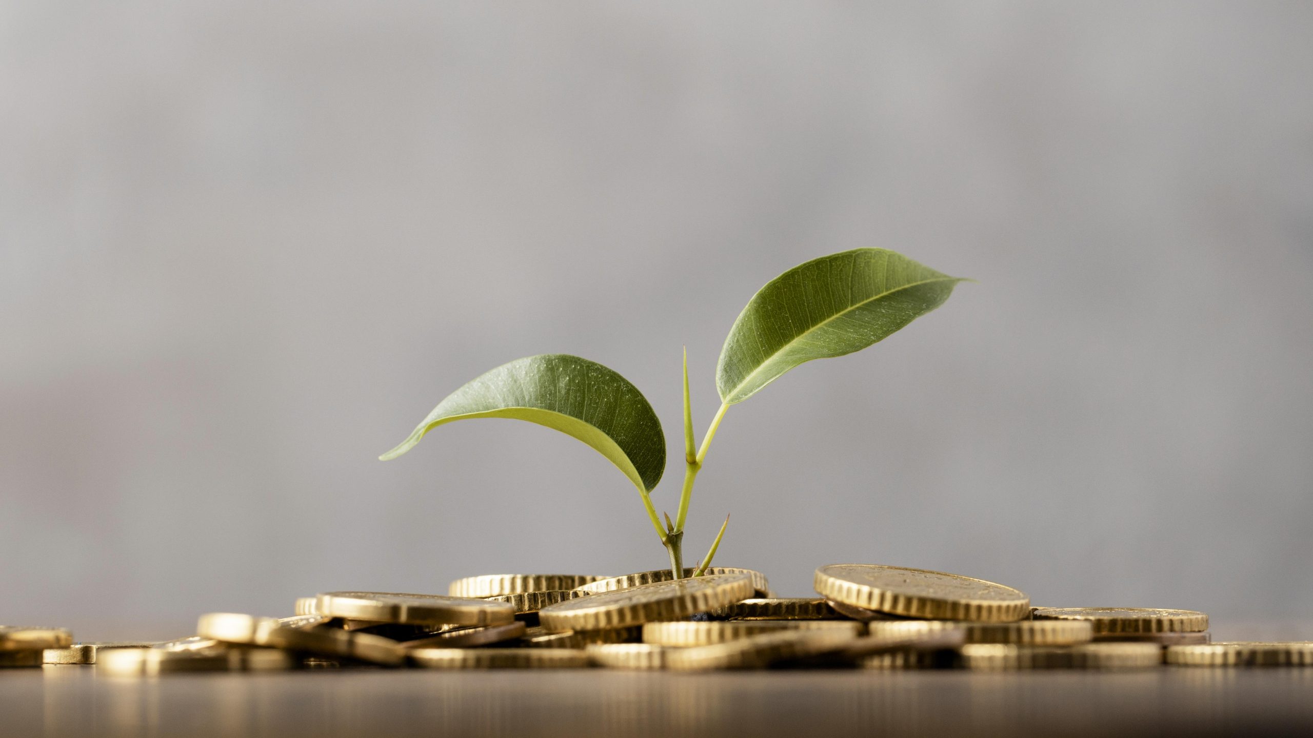 Qué hacer antes de empezar a invertir dinero